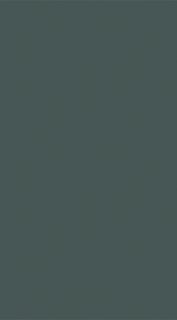 Zur Supermatt Kombu Green (Delivery within 10 to 14 working days)